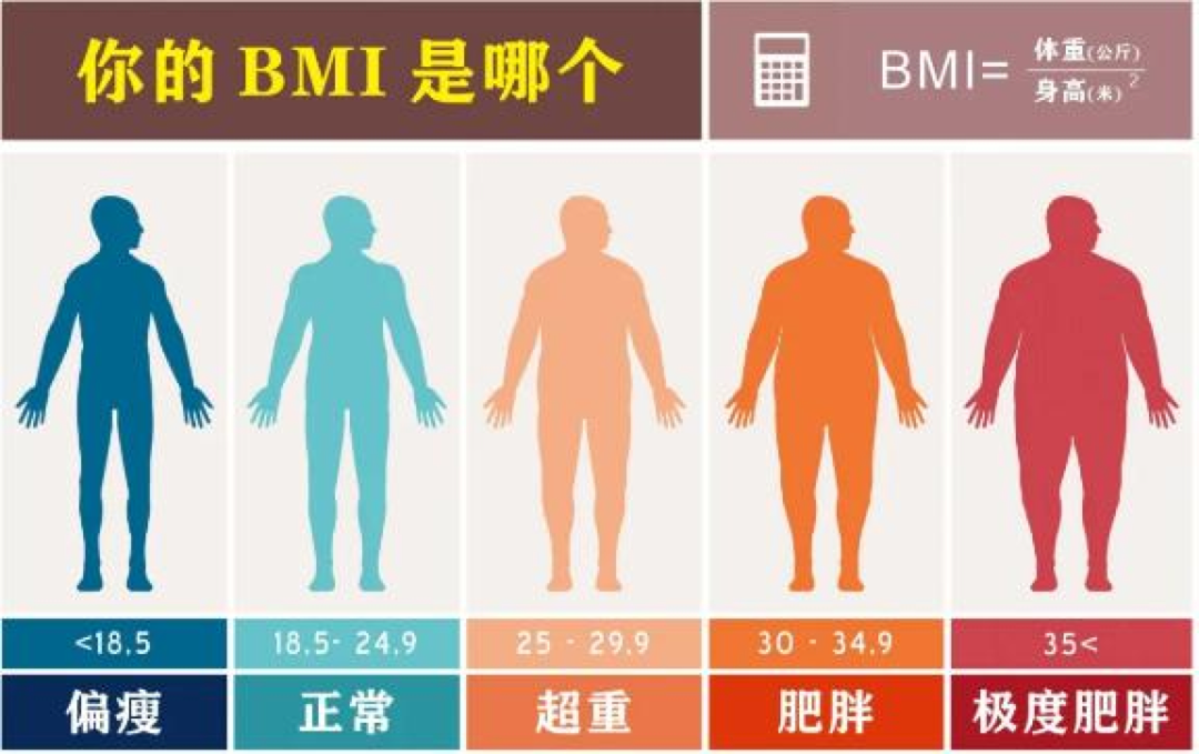 计算公式:体重指数(bmi)=体重(kg)/身高 (m)^2. 肥胖是