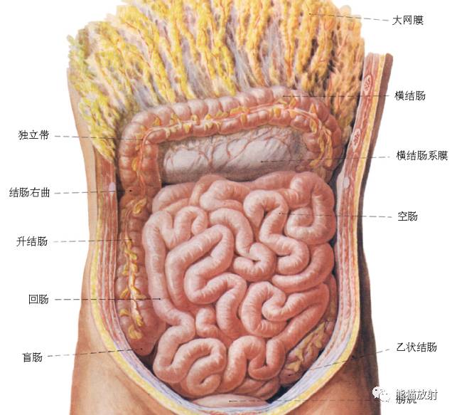 整复成功的标准是什么?