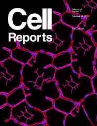 cell reports