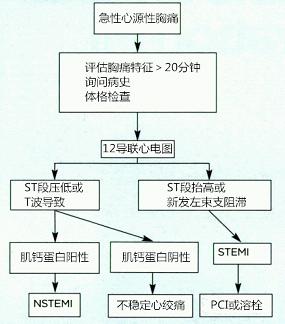 crit care:非st段抬高型心肌梗死患者闭塞的犯罪动脉患病率和结局分析