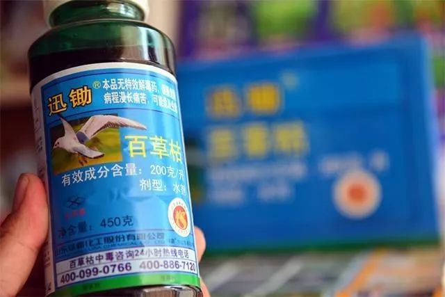 百草枯无药可救?中国的齐鲁方案治愈率达60%
