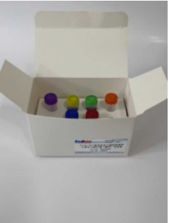 Frdbio®简版小鼠杂交瘤细胞单抗基因可变区片段扩增（简版）试剂盒