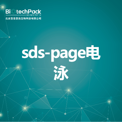 sds-page电泳