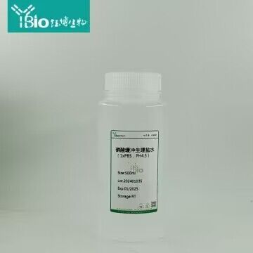 胃蛋白酶 1:3000(来源于猪胃黏膜)
