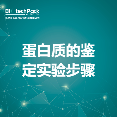 蛋白质的鉴定实验步骤