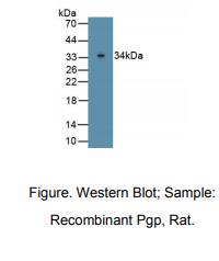 https://msimg.bioon.com/bionline/goods-no-pic.png