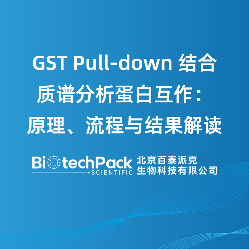 GST Pull-down 结合质谱分析蛋白互作：原理、流程与结果解读
