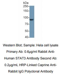 https://msimg.bioon.com/bionline/goods-no-pic.png