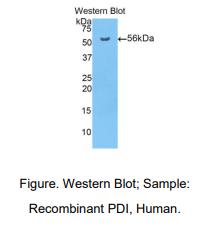 https://msimg.bioon.com/bionline/goods-no-pic.png