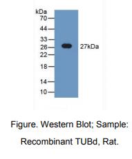 https://msimg.bioon.com/bionline/goods-no-pic.png