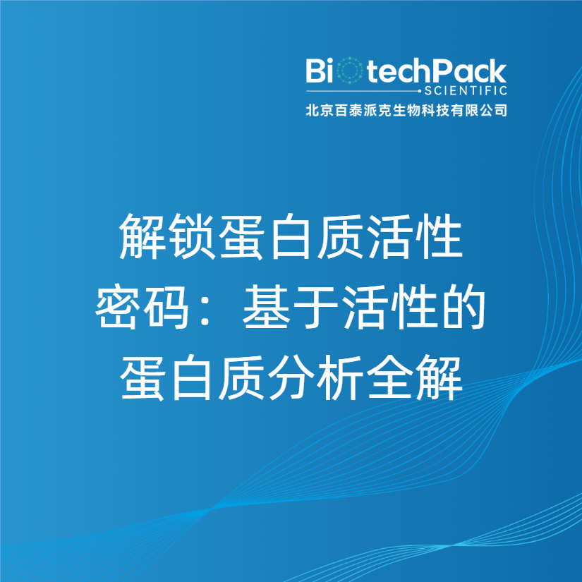 解锁蛋白质活性密码：基于活性的蛋白质分析全解
