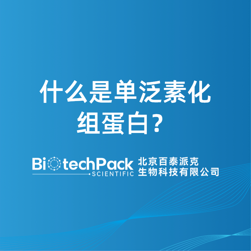 什么是單泛素化組蛋白？