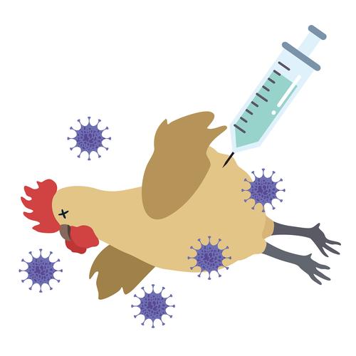 供应荷兰进口AI antiserum H9N2 禽流感抗H9N2 禽流感阳性H9N2
