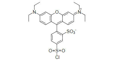 丽丝胺碱性蕊香红B磺酰氯 CAS 62796-29-6