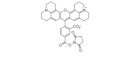 5-ROX, SE 5-羧基-X-罗丹明琥珀酰亚胺酯 CAS 209734-74-7