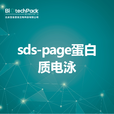 sds-page蛋白质电泳