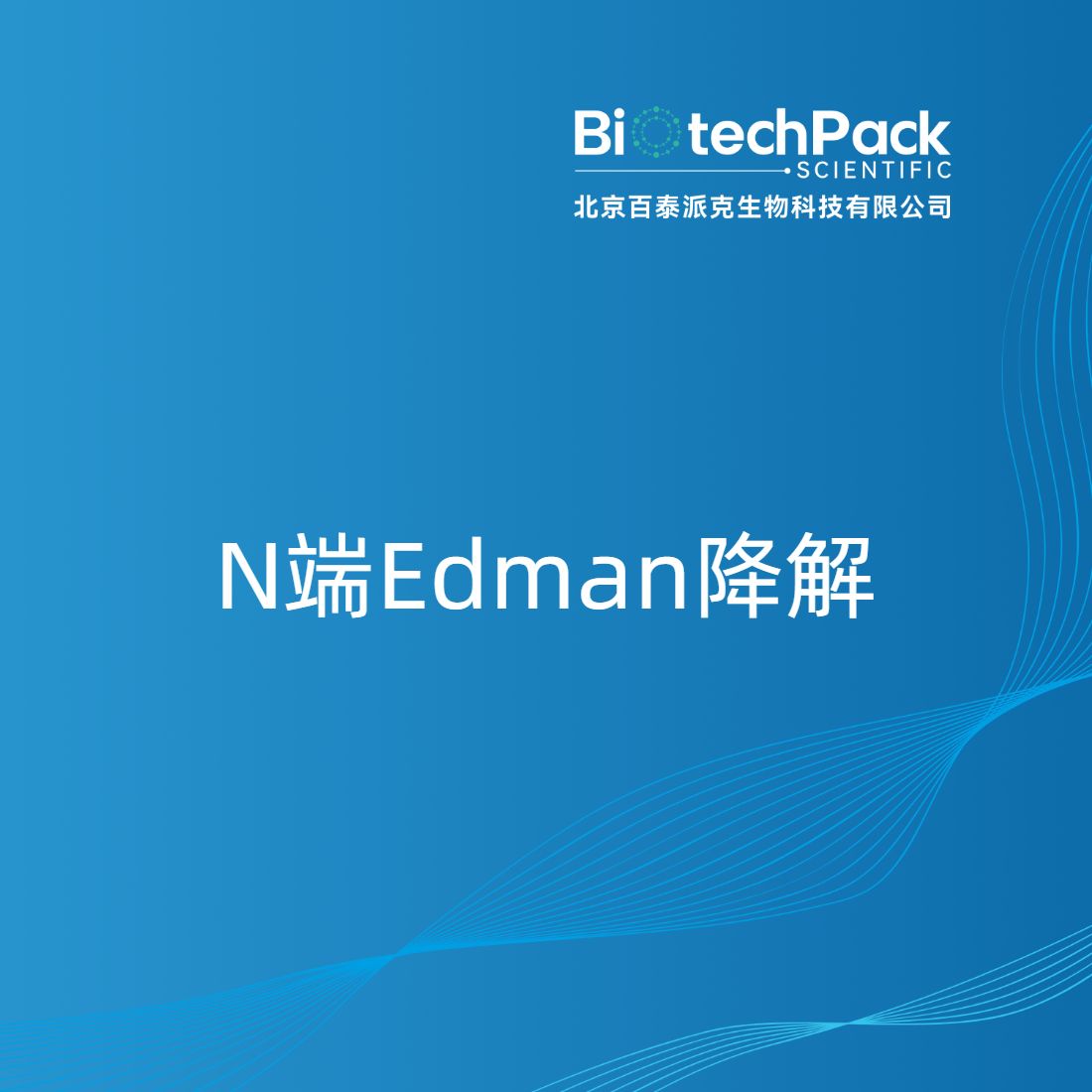 N端Edman降解