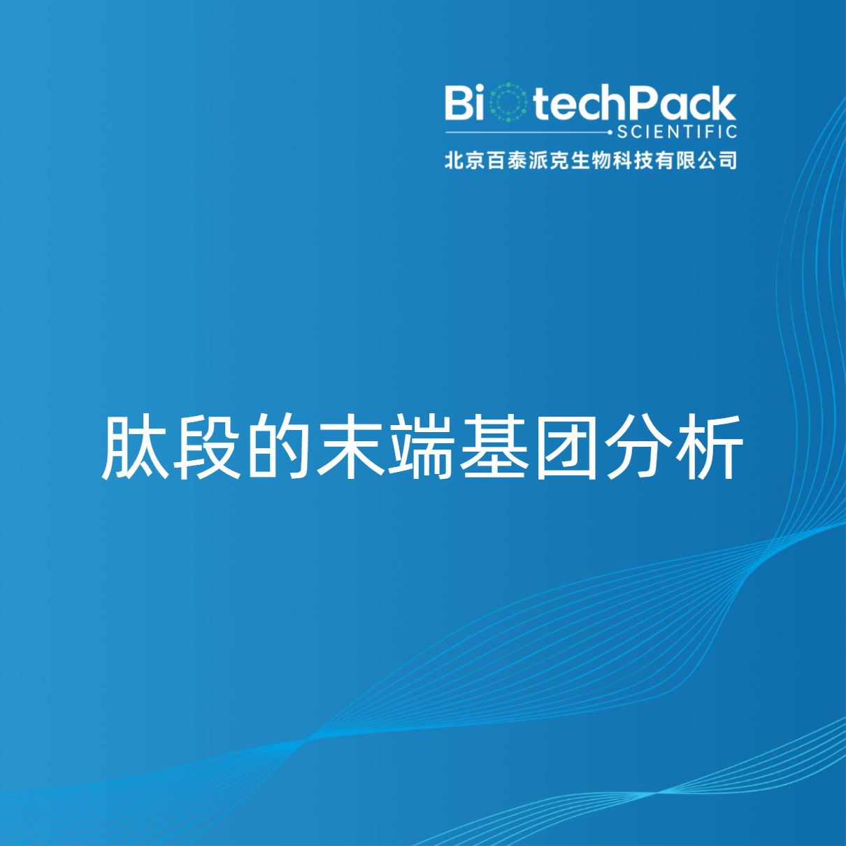 肽段的末端基团分析