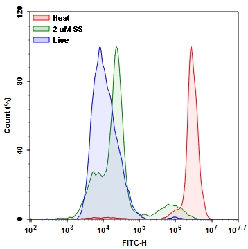 Cell Meter 细胞衰老活性测定试剂盒