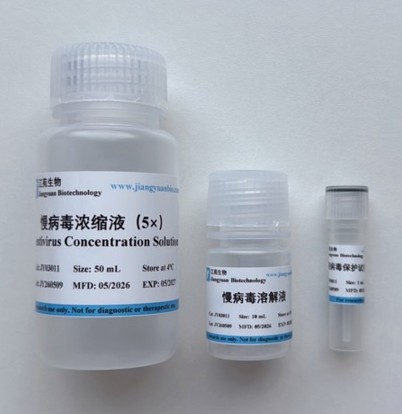 慢病毒浓缩试剂盒