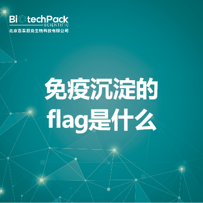 免疫沉淀的flag是什么