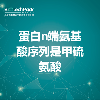 蛋白n端氨基酸序列是甲硫氨酸