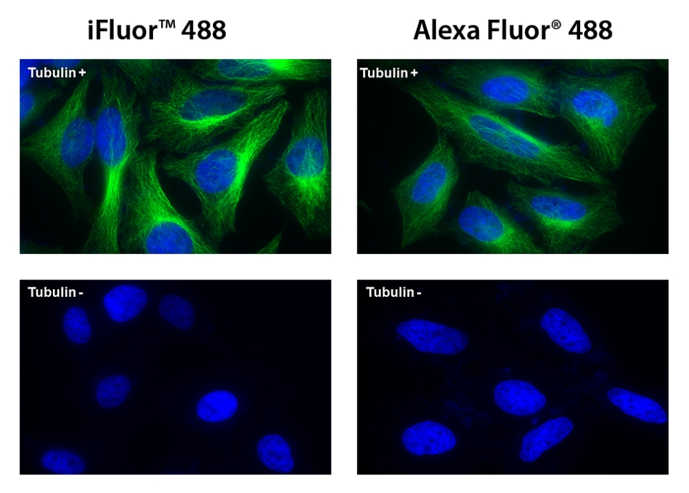 https://img.medsci.cn/e73eefcea40976357f460123cbf1e819c54e5106c9b457225be13b1cbc991aff.png