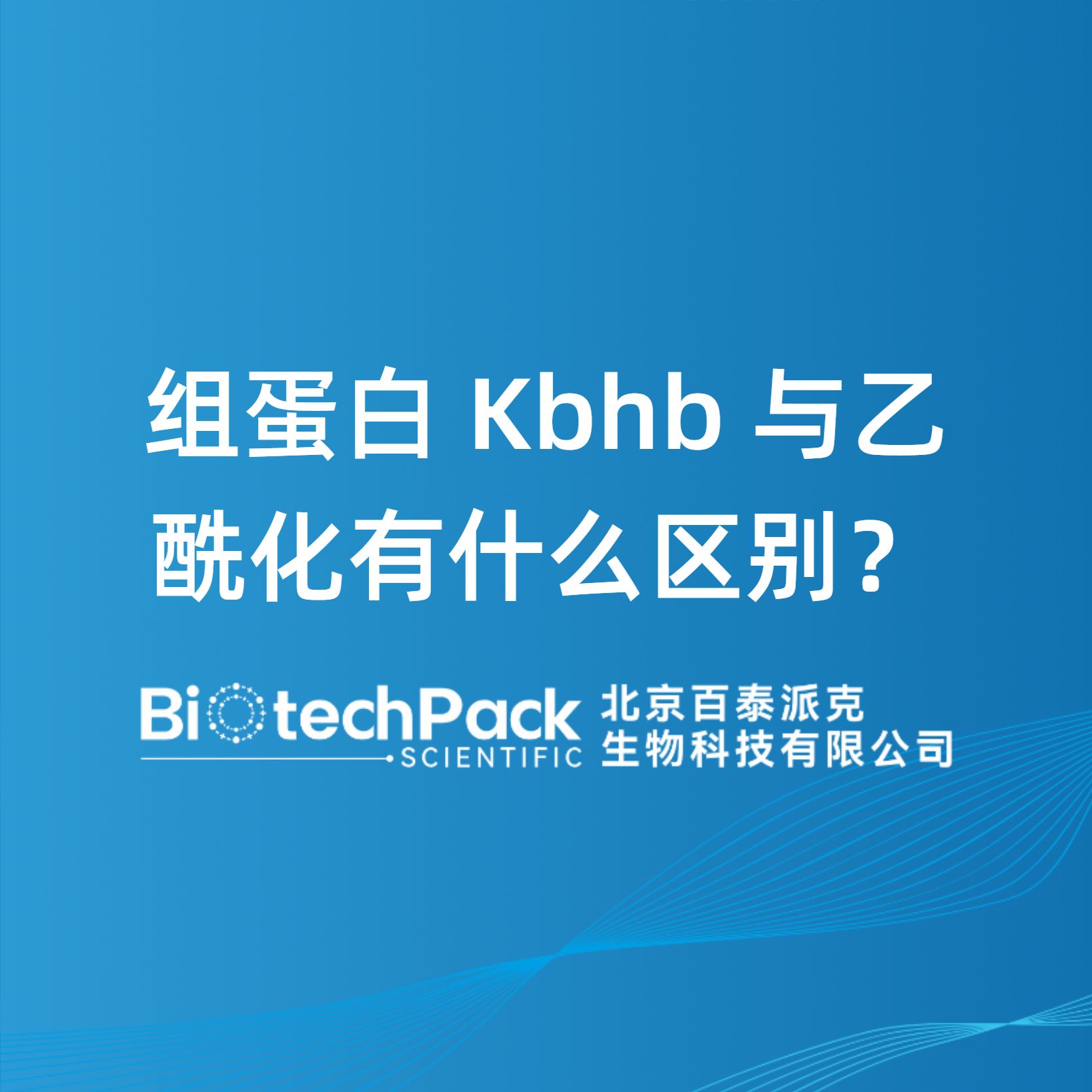 組蛋白 Kbhb 與乙酰化有什么區別？