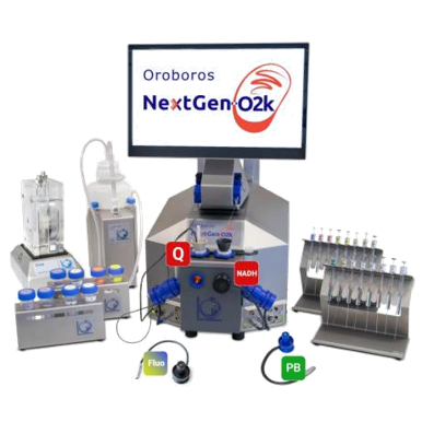 高精度线粒体氧化磷酸化功能表征系统