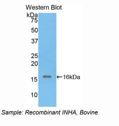 https://msimg.bioon.com/bionline/goods-no-pic.png