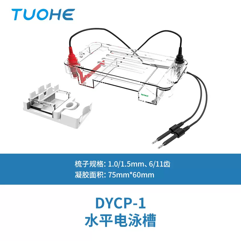 水平/垂直电泳槽电泳仪电源 DYCP-1