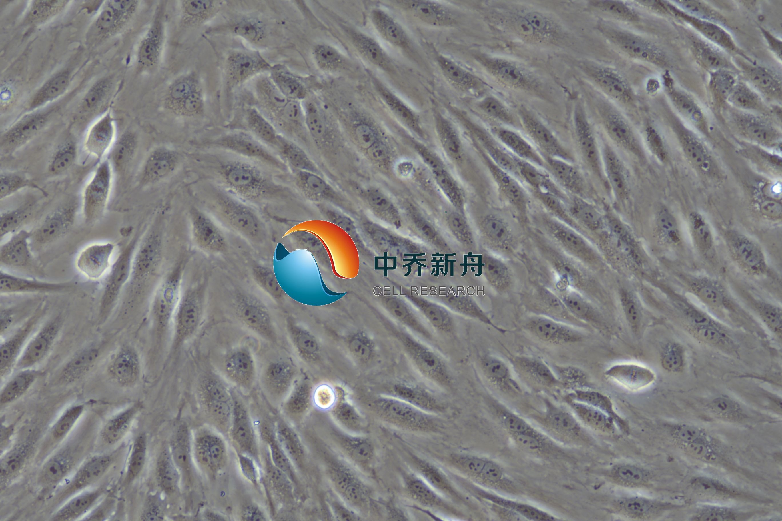 https://img.medsci.cn/8eee53bbc4cb7a98de615e72115896bc4e27fda5cbb764dbd67d9d641c2bb46a.png