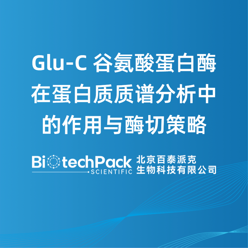 Glu-C 谷氨酸蛋白酶在蛋白质质谱分析中的作用与酶切策略