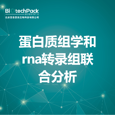 蛋白质组学和rna转录组联合分析