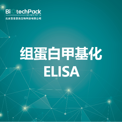 组蛋白甲基化ELISA