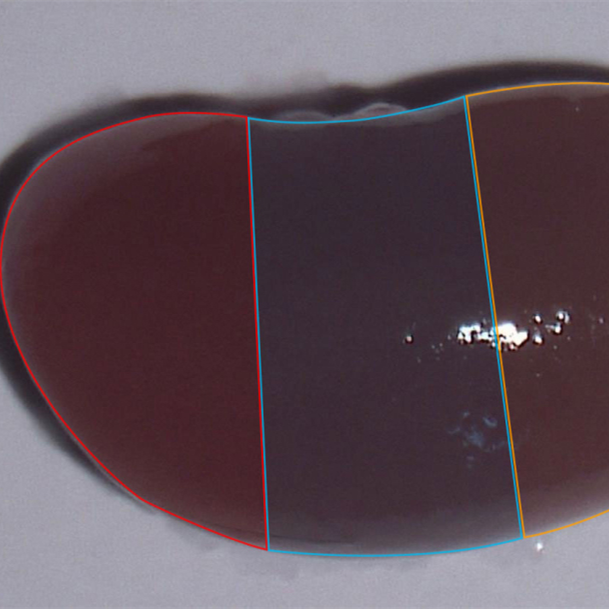 https://msimg.bioon.com/bionline/goods-no-pic.png
