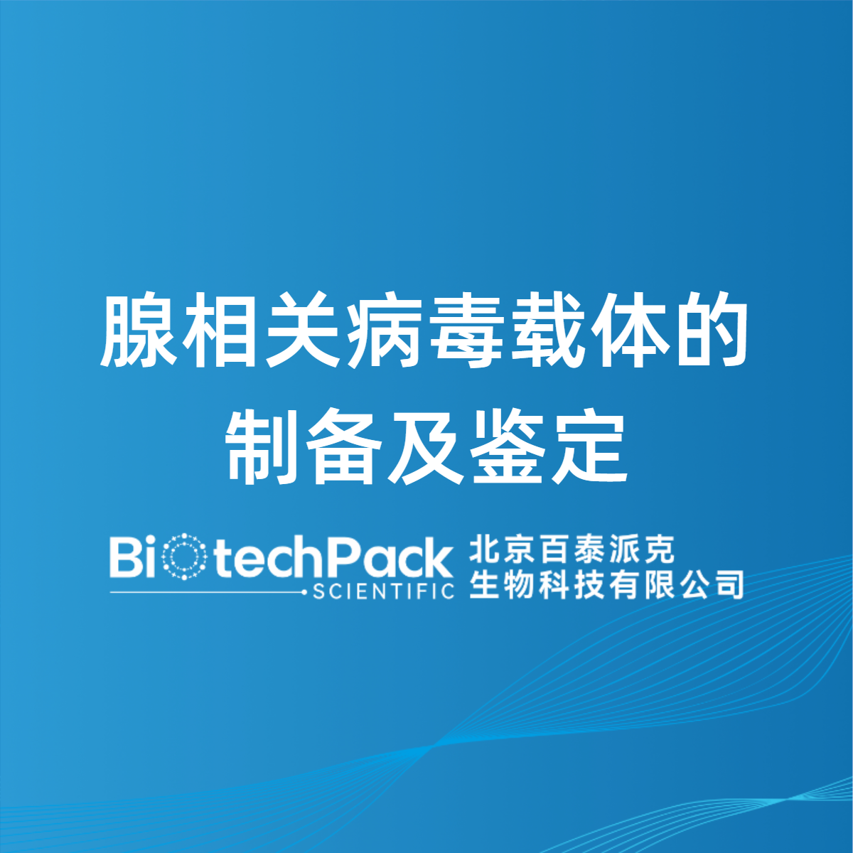 腺相关病毒载体的制备及鉴定