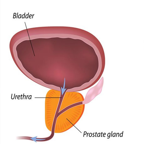 https://msimg.bioon.com/bionline/goods-no-pic.png