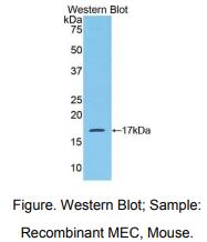 https://msimg.bioon.com/bionline/goods-no-pic.png