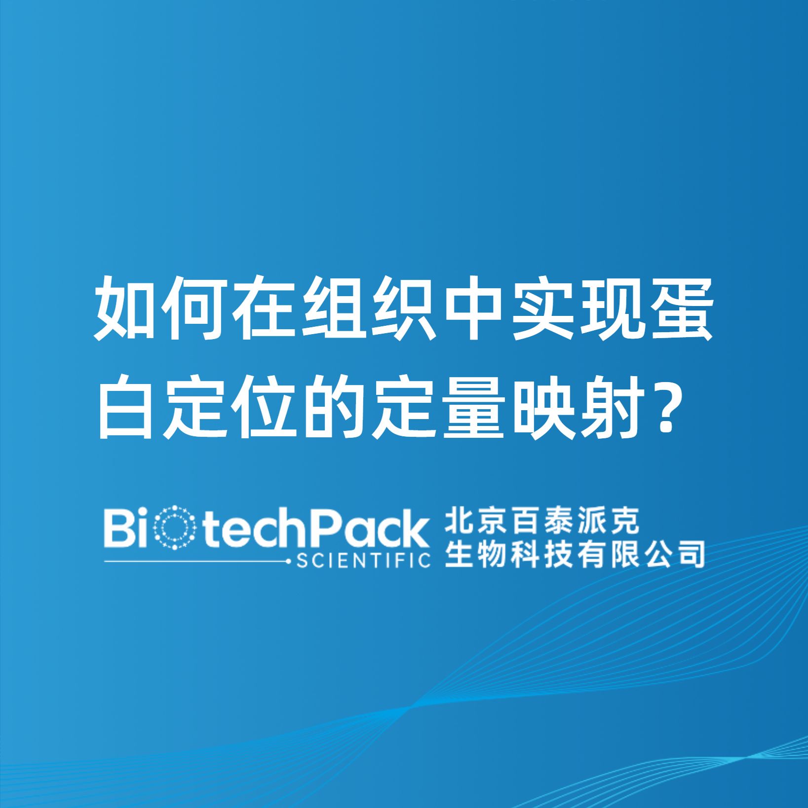 如何在组织中实现蛋白定位的定量映射？