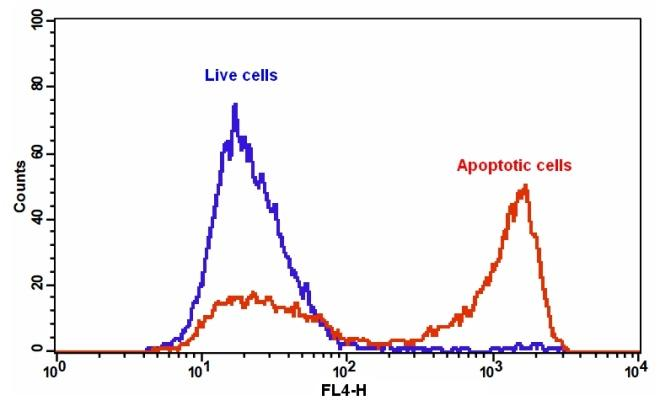 Cell Meter Annexin V凋亡检测试剂盒 *蓝色荧光 405nm处激发*