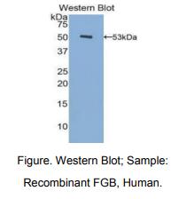 https://msimg.bioon.com/bionline/goods-no-pic.png