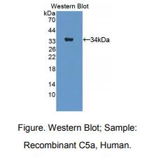 https://msimg.bioon.com/bionline/goods-no-pic.png