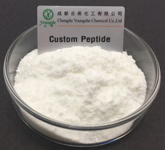 https://img.medsci.cn/996ce4147beece0e10ddd95b56815baff2fd783162e97a3579220f762f187f04.jpg