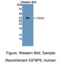 https://msimg.bioon.com/bionline/goods-no-pic.png