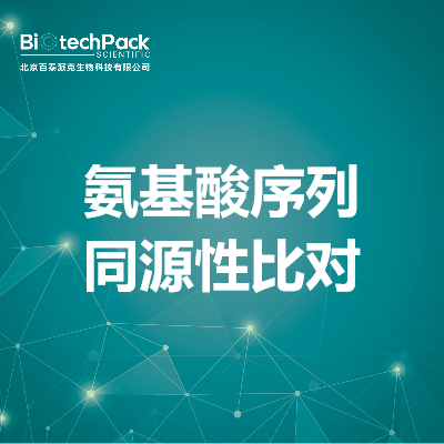 氨基酸序列同源性比对
