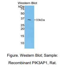 https://msimg.bioon.com/bionline/goods-no-pic.png