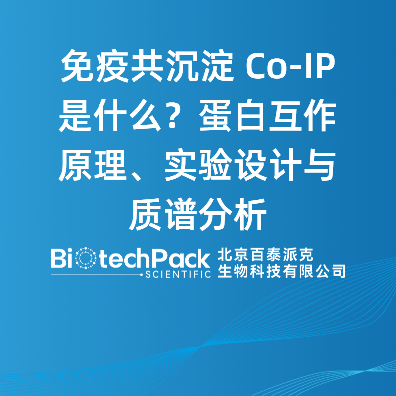 免疫共沉淀 Co-IP 是什么？蛋白互作原理、实验设计与质谱分析