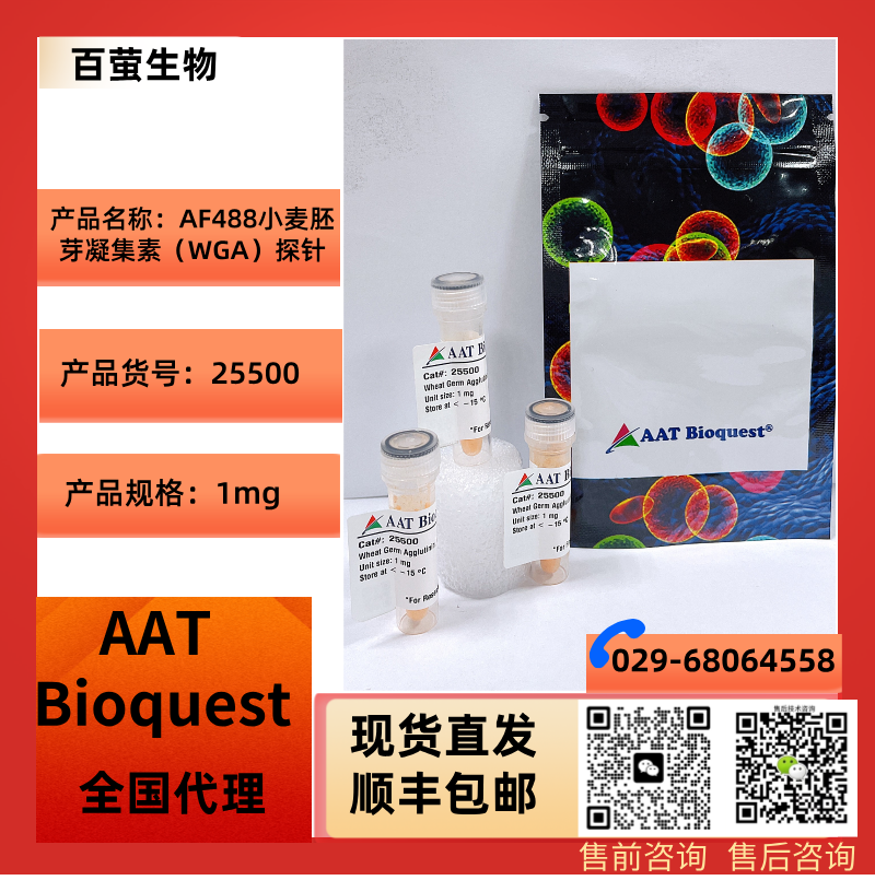 AAT BioquestAF488小麦胚芽凝集素（WGA）探针 货号25500