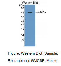 https://msimg.bioon.com/bionline/goods-no-pic.png